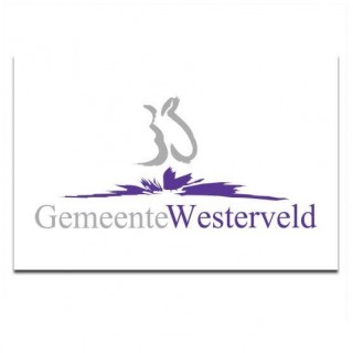 Gemeente vlag Westerveld - 2