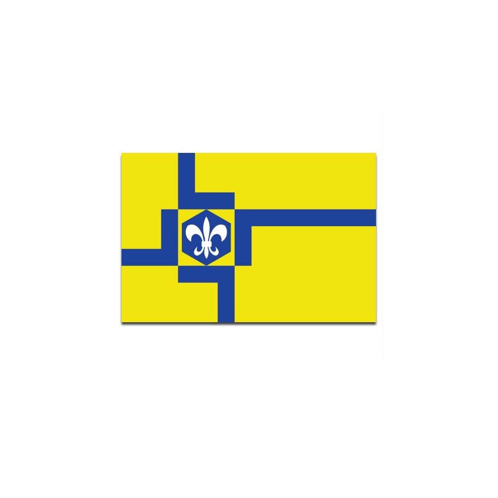 Gemeente vlag Lelystad - 2