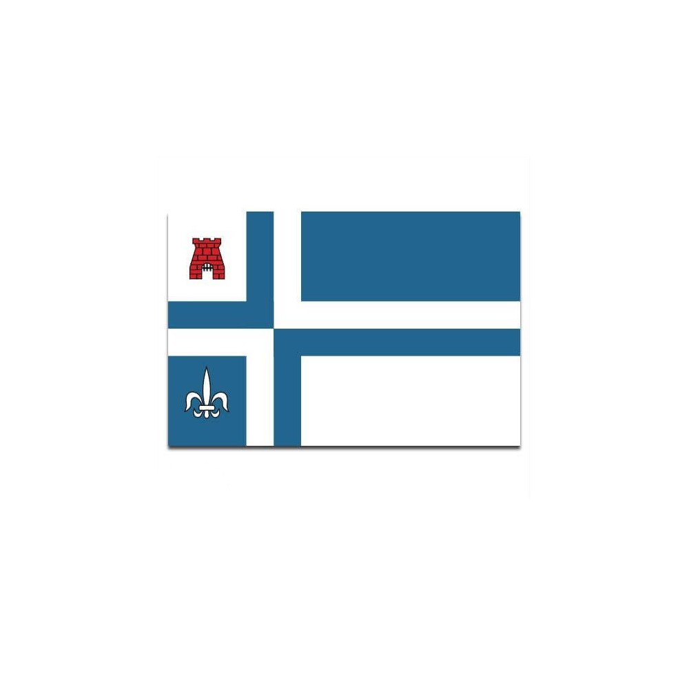 Gemeente vlag Noordoostpolder - 2