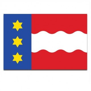 Gemeente vlag Dongeradeel - 2