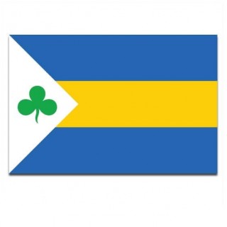 Gemeente vlag Leeuwarderadeel - 2