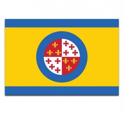 Gemeente vlag Harlingen - 2