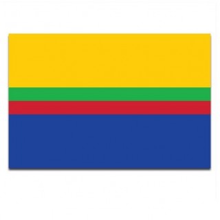 Gemeente vlag Appingedam - 2