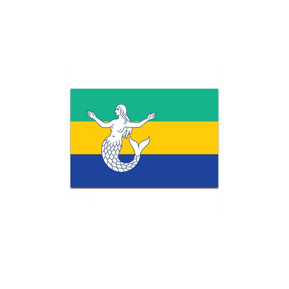 Gemeente vlag Eemsmond - 2