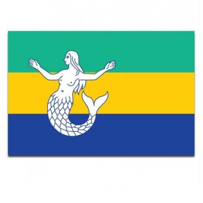 Gemeente vlag Eemsmond - 2 Gemeente vlag Eemsmond - 2