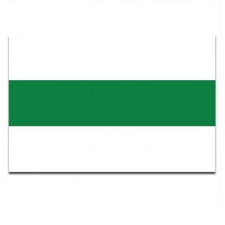 Gemeente vlag Groningen - 2