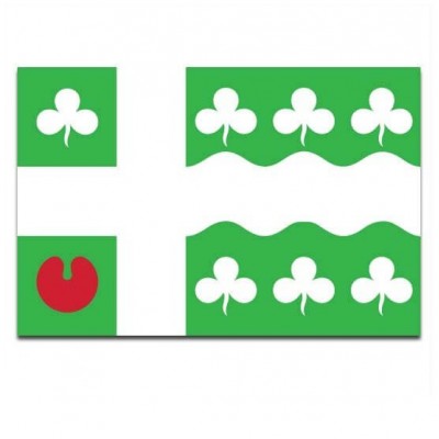 Gemeente vlag Marum - 2