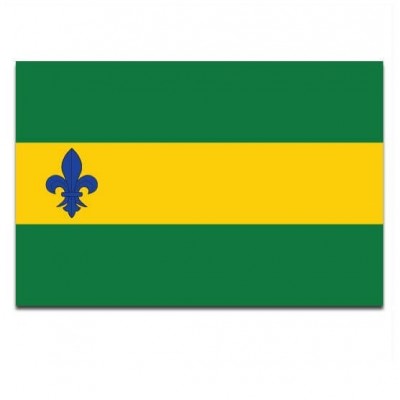 Gemeente vlag Menterwolde - 2