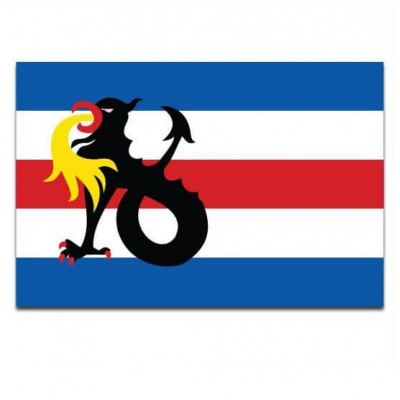 Gemeente vlag Slochteren - 2