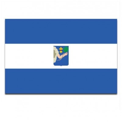 Gemeente vlag Veendam - 2