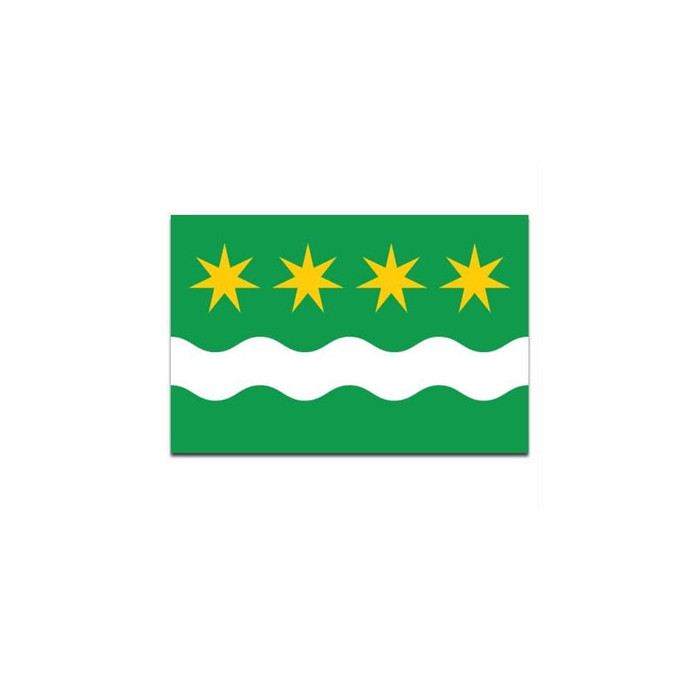 Gemeente vlag Winsum - 2