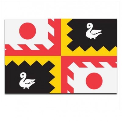 Gemeente vlag Eijsden-Margraten - 2