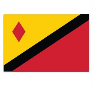 Gemeente vlag Stein - 2