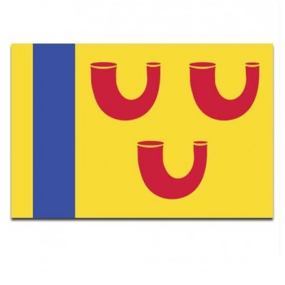 Gemeente vlag Leudal - 2