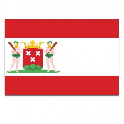 Gemeente vlag Bergen op Zoom - 2