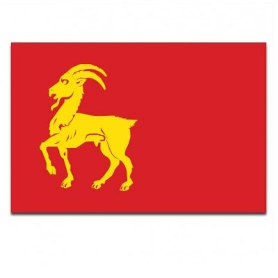 Gemeente vlag Boxmeer - 2