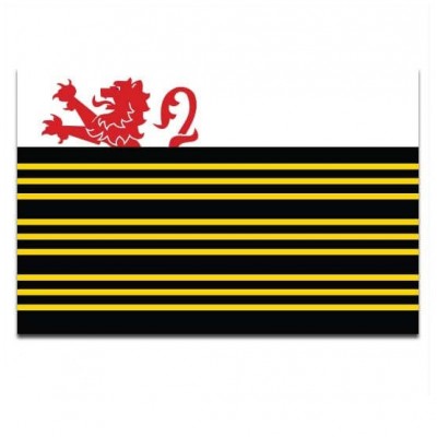 Gemeente vlag Eersel - 2