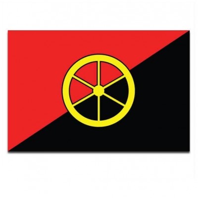 Gemeente vlag Aalburg - 2