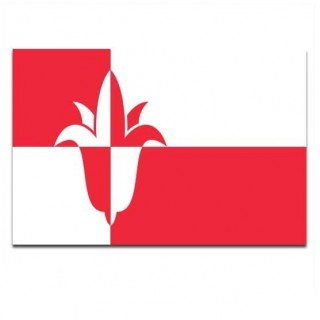 Gemeindeflagge Bernheze - 2