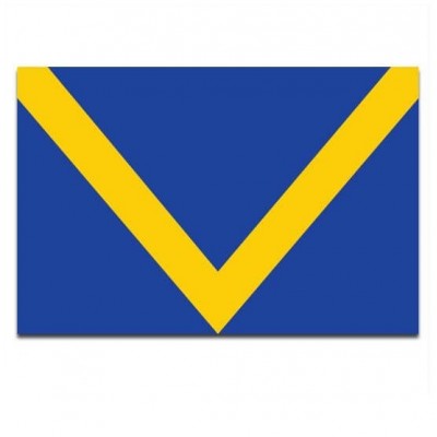 Gemeente vlag Boekel - 2