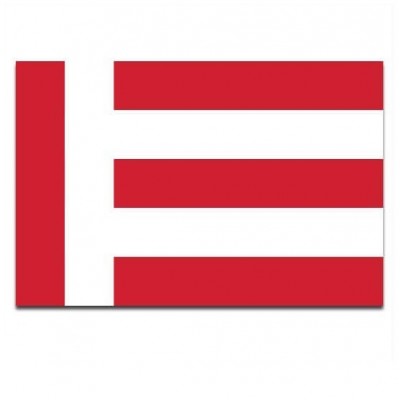 Gemeente vlaggen Eindhoven - 2