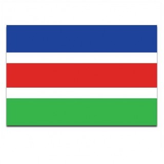 Gemeente vlag Laarbeek - 2