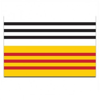 Gemeindeflagge Loon op Zand - 2