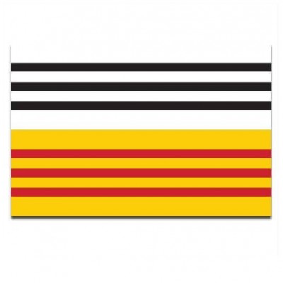 Gemeente vlag Loon op Zand - 2 Gemeente vlag Loon op Zand - 2