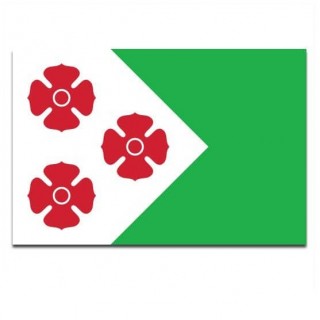 Gemeindeflagge Maasdonk - 2