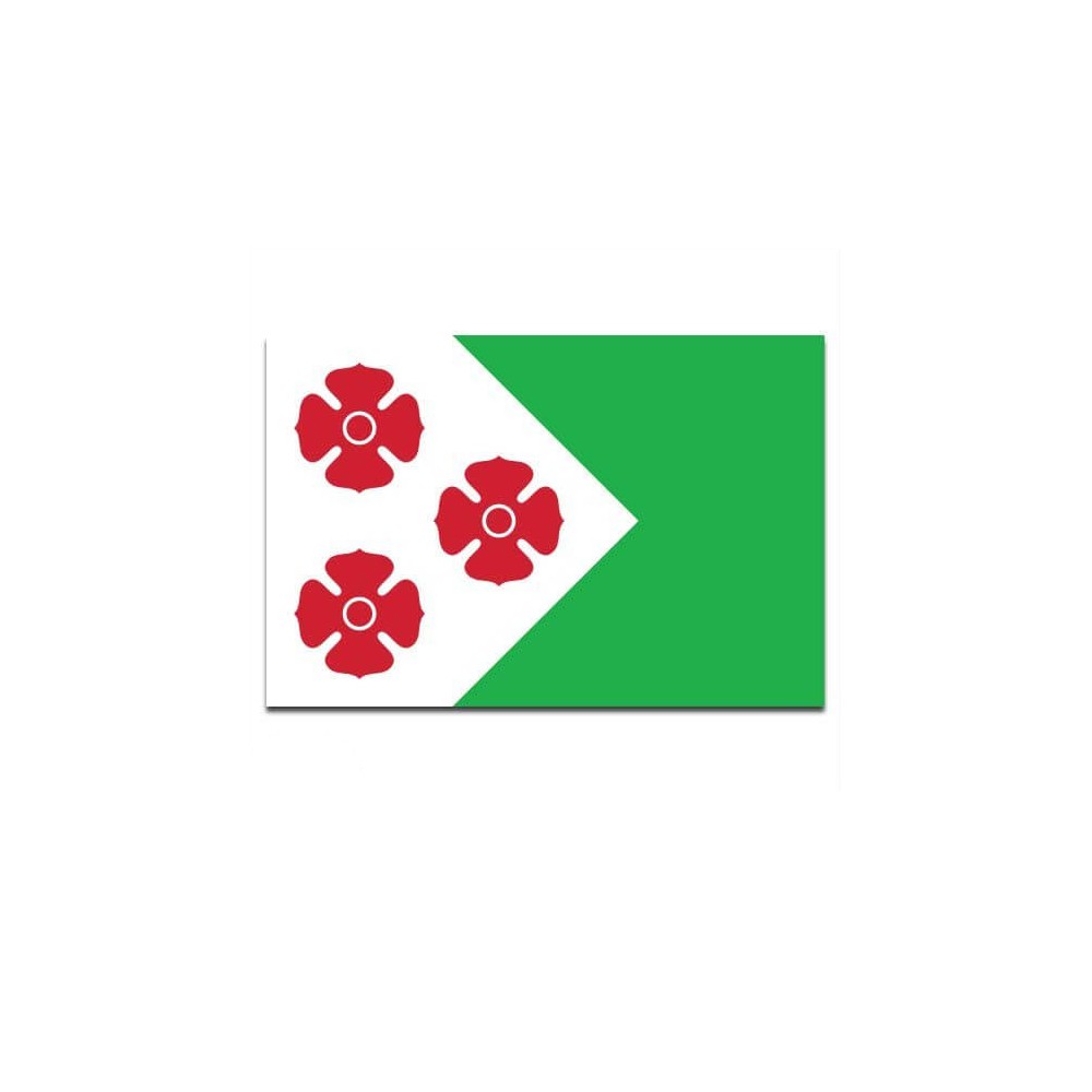 Gemeente vlag Maasdonk - 2
