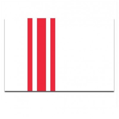 Gemeente vlag Oisterwijk - 2 Gemeente vlag Oisterwijk - 2