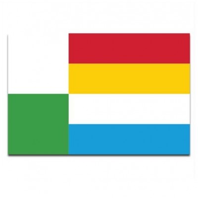 Gemeente vlag Oss - 2