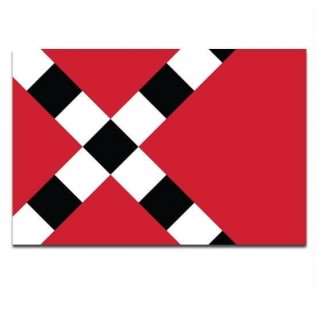 Gemeente vlag Veghel - 2