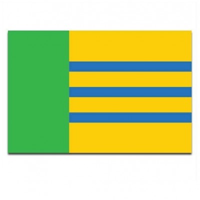 Gemeente vlag Woensdrecht - 2