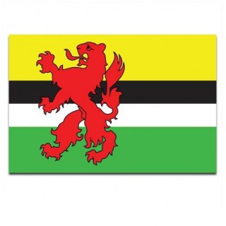 Gemeente vlag Geertruidenberg - 2