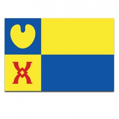 Gemeente vlag Geldrop-Mierlo - 2