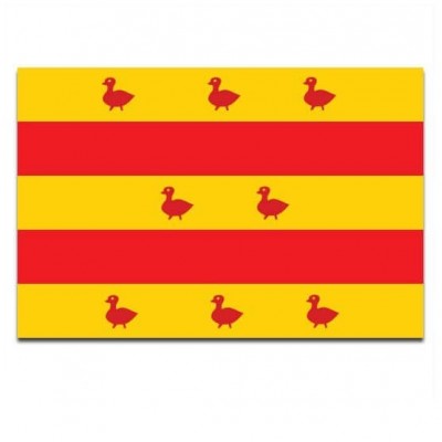 Gemeente vlag Grave - 2