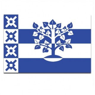 Gemeente vlag Haaren - 2