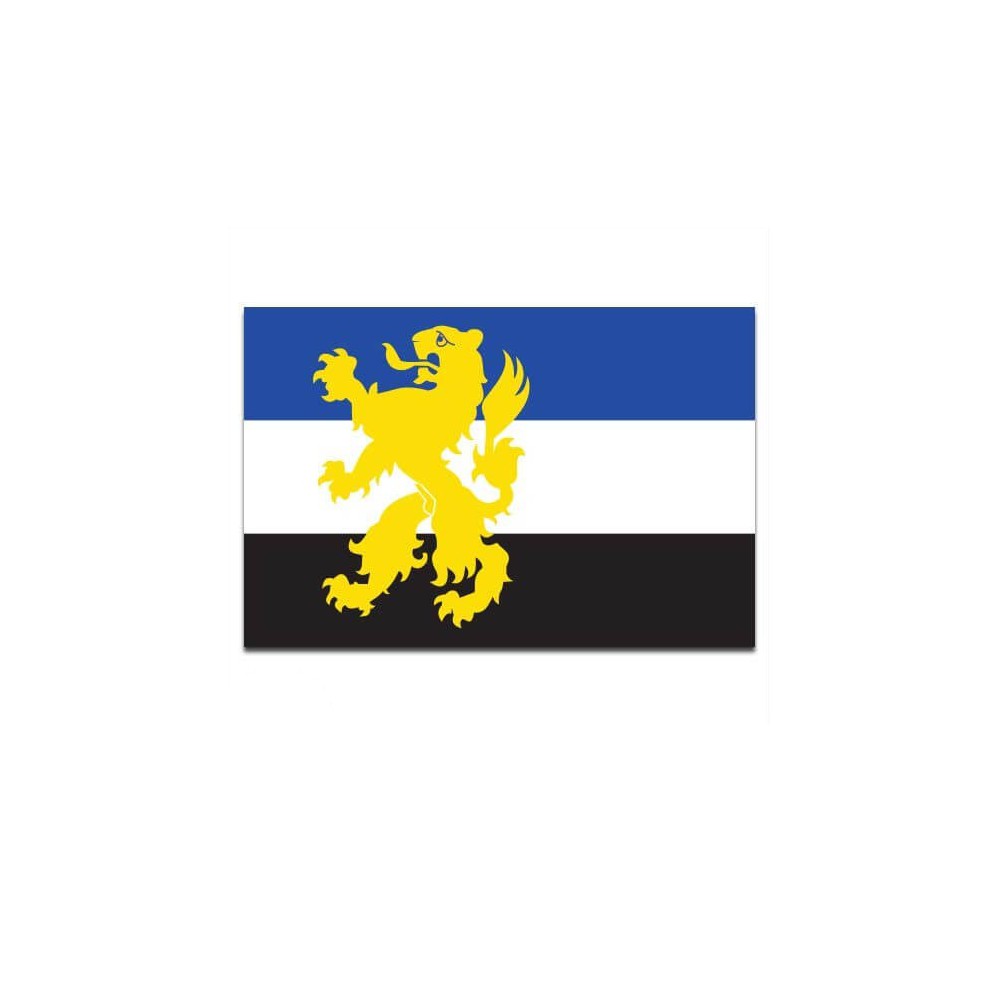 Gemeente vlag Hilvarenbeek - 2