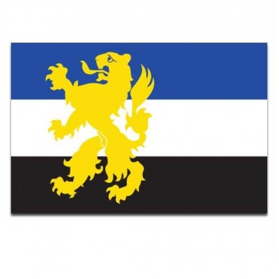 Gemeente vlag Hilvarenbeek - 2 Gemeente vlag Hilvarenbeek - 2