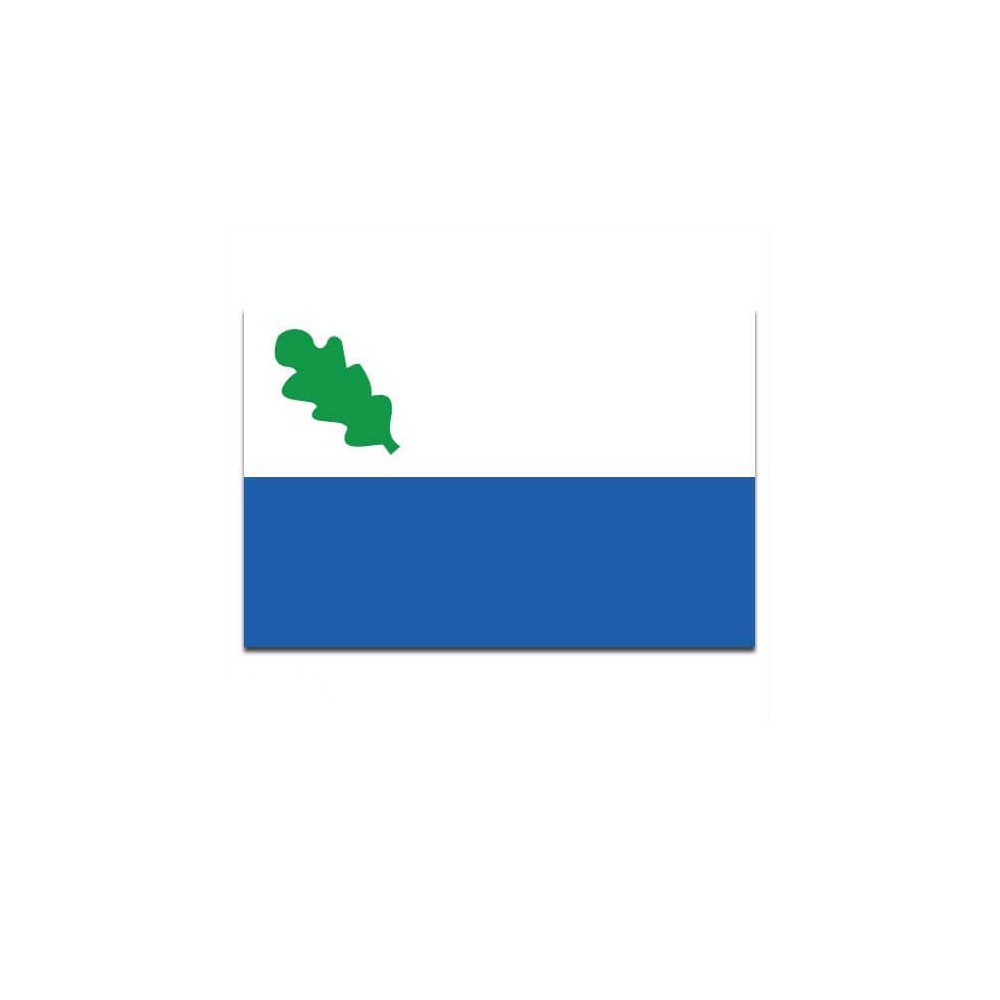 Gemeente vlag Oirschot - 2