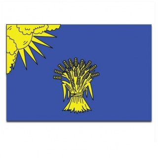 Gemeente vlag Reusel-De Mierden - 2