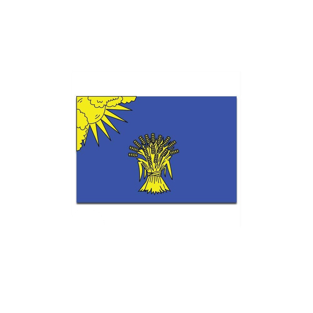 Gemeente vlag Reusel-De Mierden - 2