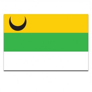 Gemeente vlag Schijndel - 2