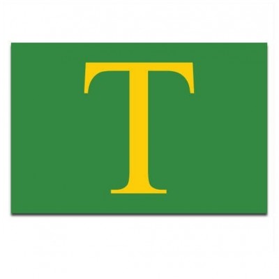 Gemeente vlag Sint Anthonis - 2