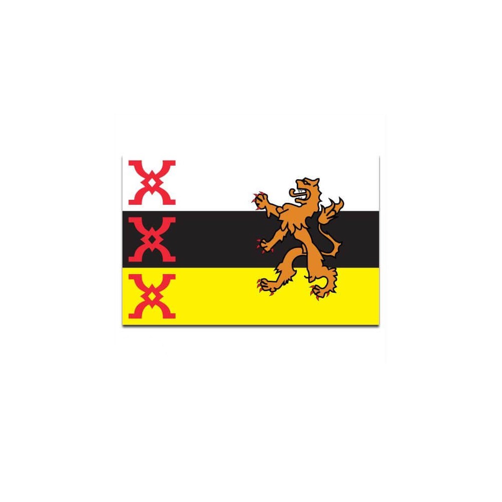 Gemeente vlag Someren - 2