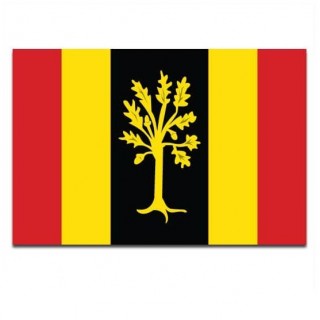Gemeindeflagge Waalwijk - 2