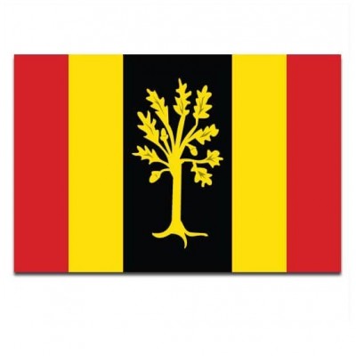Gemeente vlag Waalwijk - 2