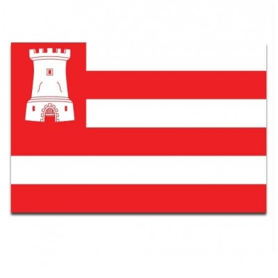 Gemeente vlag Alkmaar - 2 Gemeente vlag Alkmaar - 2