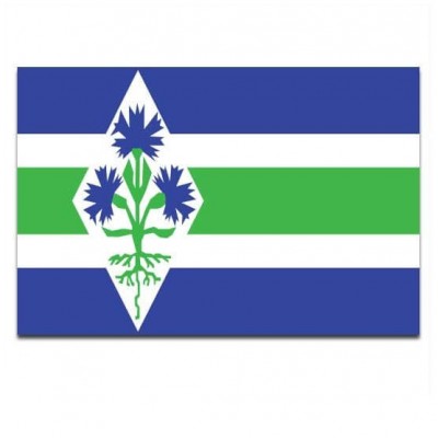 Gemeente vlag Blaricum - 2 Gemeente vlag Blaricum - 2